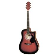Гитара акустическая Hora W12204CTW