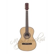 Гитара акустическая Terris TF-3802A NA