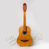 Гитара акустическая Аккорд ACD-39A-93 LN